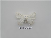 藏品(尺蛾332)的圖片